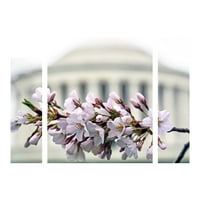 Marcă comercială Fine Art 'Jefferson Memorial Blossoms' set de artă pe pânză cu mai multe panouri de CATeyes