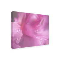 Gillian Hunt 'inimi în roz II' Canvas Art