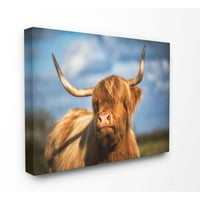 Stupell Industries vacă frumoasă în pășune Animal peisaj foto panza arta de perete de sătean Jim