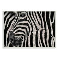 Stupell Industries sclipici Zebra Glam moda Animal Design placa de perete de Ziwei Li