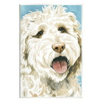 Stupell Industries Happy Shaggy Dog portret pictură artă Neîncadrată imprimare artă de perete, Design de Grace Popp