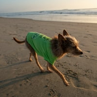 Vibrant life Poliester cel mai bun tricou Camp Buddy Dog, Verde, XXS